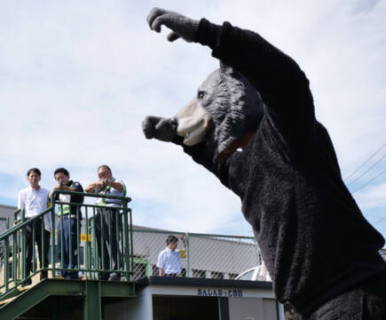 三重県で「クマアラート」を導入　ツキノワグマ出没件数過去最多　注意報と警報の2段階