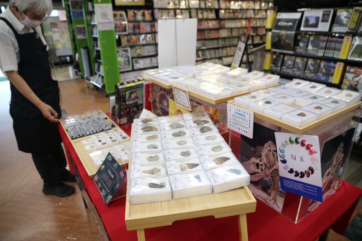 ロマン感じる化石や美しい鉱石　TSUTAYA笹川店　11月4日までポップアップショップ