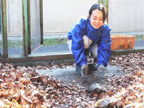 まだ暖かい？　四日市の南部丘陵公園小動物園でカメの冬眠準備