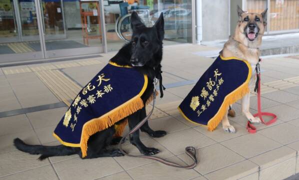 三重県警　「鼻の捜査官」に2頭のシェパード　四日市北警察署で嘱託書交付式　