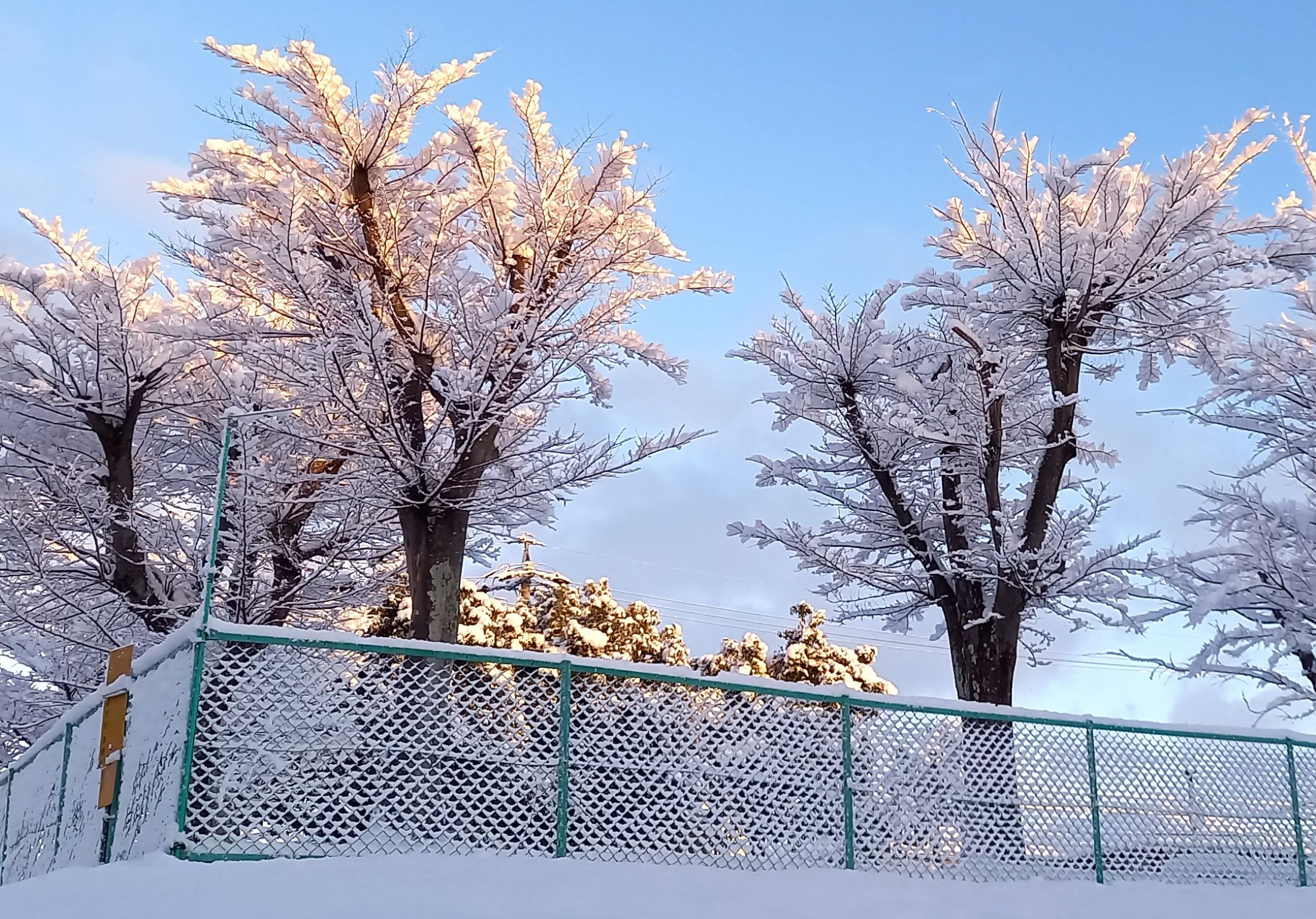 四日市の雪は峠を越える、歩道の凍結などなお注意を