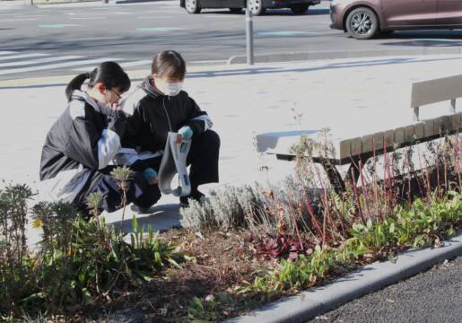中学生が歩いて考えた、四日市の中央通り再編、期待と感心、疑問や心配も