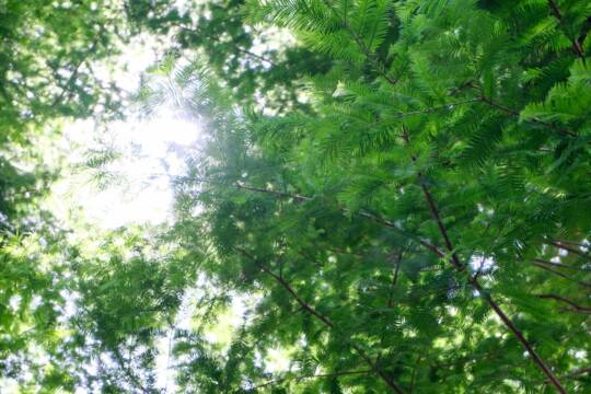 【四日市市の予算⑤環境・景観】個人住宅の温暖化設備導入や中小企業の脱炭素経営に補助