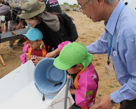 大きく育って、四日市の磯津漁港で保育園児がヒラメの稚魚を放流