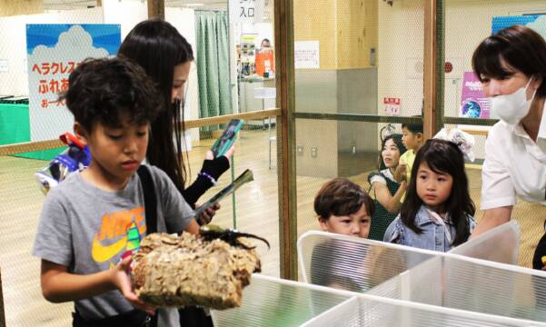 ヘラクレスオオカブトや光るサソリも、近鉄百貨店四日市で「世界の昆虫展」