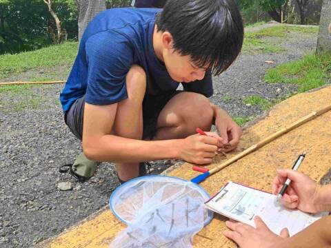 「アカトンボふる里さがし大作戦」始まる、三重県の御在所岳