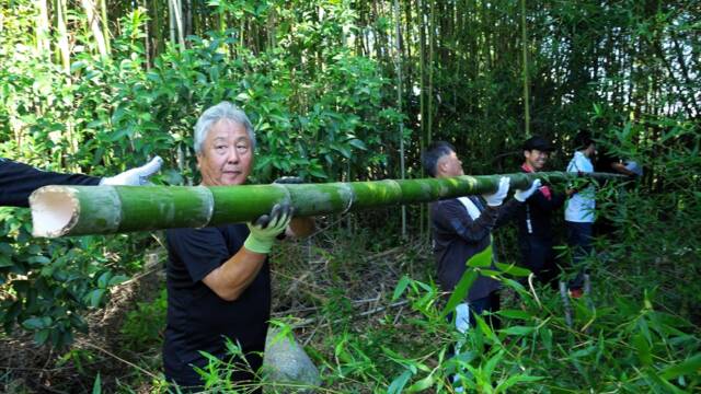 切り出された竹を数人で手渡ししながら運び出す人々