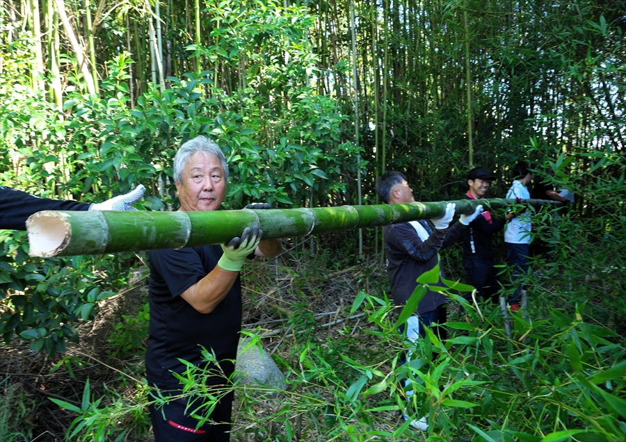 切り出された竹を数人で手渡ししながら運び出す人々