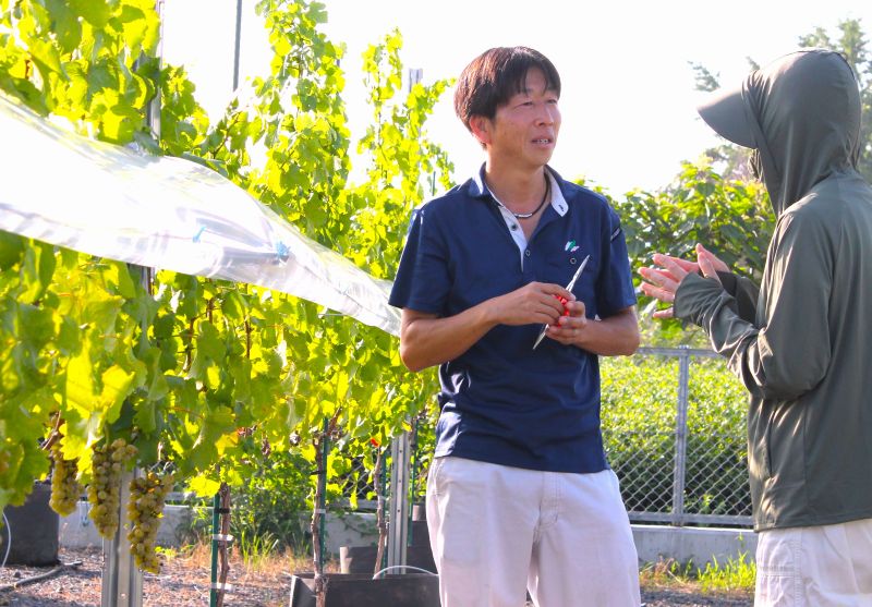 IMG_1288摘み取りの手伝いと談笑する五十嵐和仁さん改訂