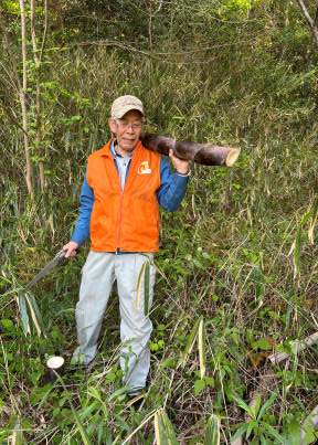 伐採した竹を運ぶメンバー