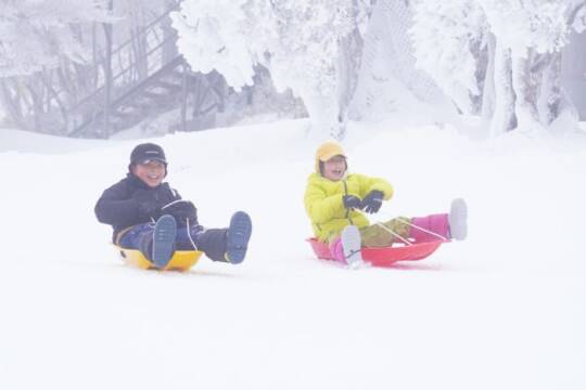 そりに乗って2人の子どもがはしゃいでいる