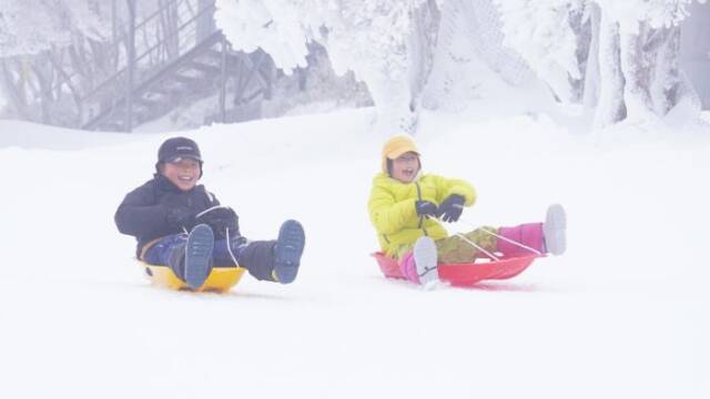 そりに乗って2人の子どもがはしゃいでいる