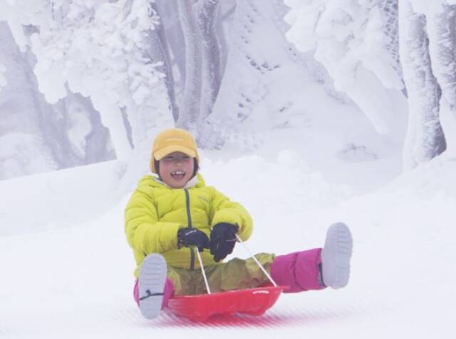 赤いそりに乗って黄色のスキーウエアを着た子が笑顔で滑っている