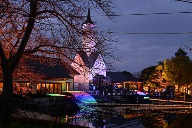 チャペルと水面のイルミネーションの前に木の枝がある