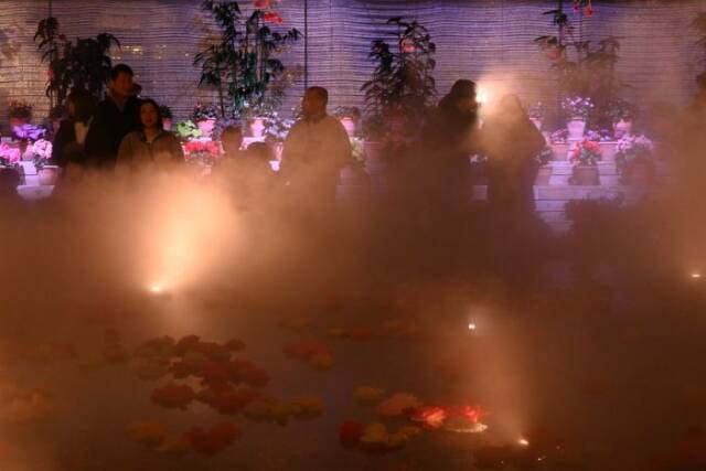 水面の上にベコニアが浮かびスチームが立ち込める