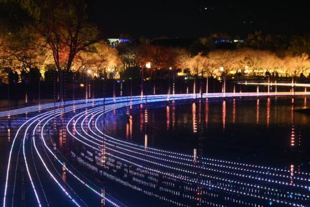 水面に青い光のイルミネーションが施されその後ろに木々がライトアップされている