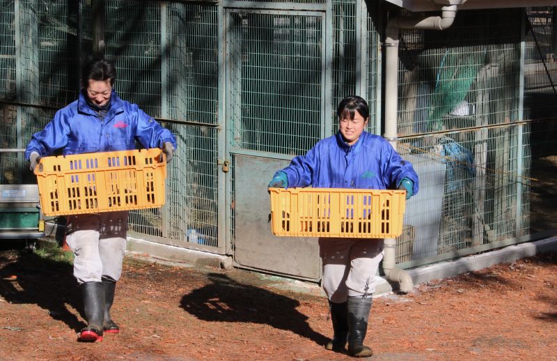 IMG_4003運ぶ改訂