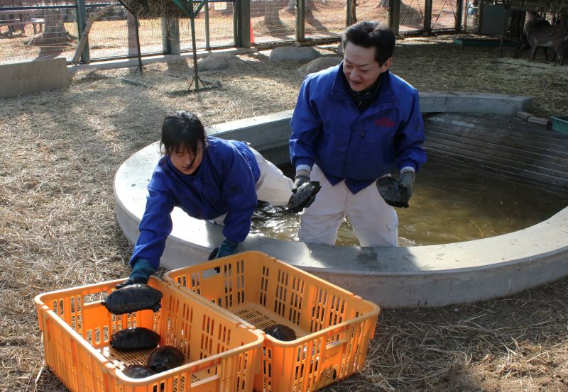 IMG_3994集める改訂