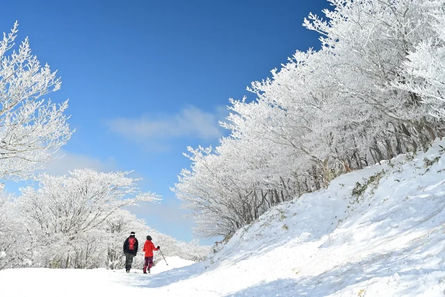 樹氷を見る人が2人いる