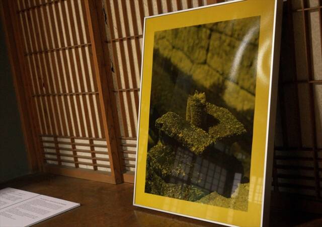 菰野町のお茶で染められ、額装展示されたタワシを写した写真作品
