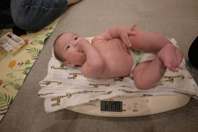 赤ちゃん用の体重計に乗る赤ちゃん