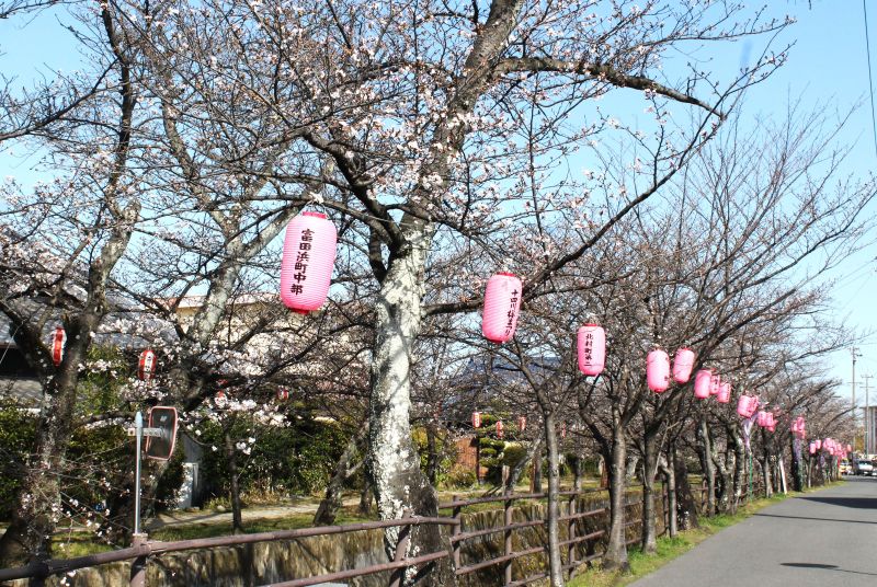 IMG_5917飾りつけ改訂