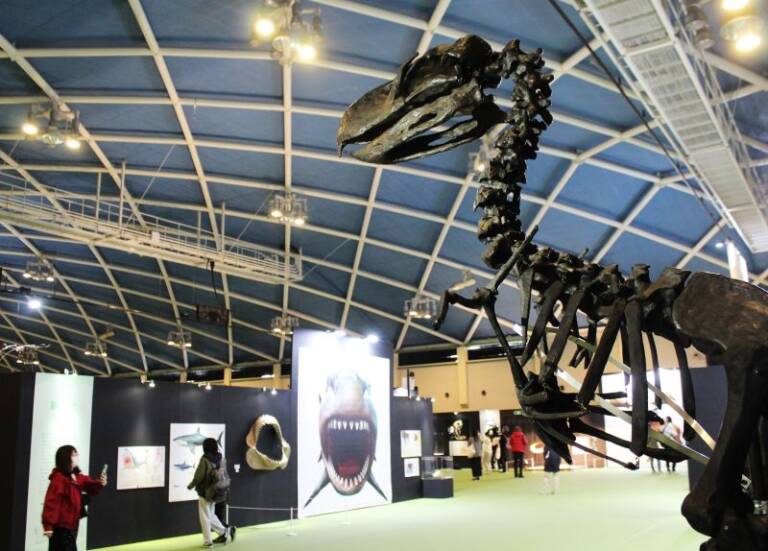 全身骨格も迫力、ベストセラー「わけあって絶滅しました。」がナガシマスパーランドで展覧会に
