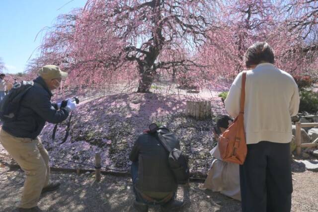 ローアングルで写真を撮る4人の人