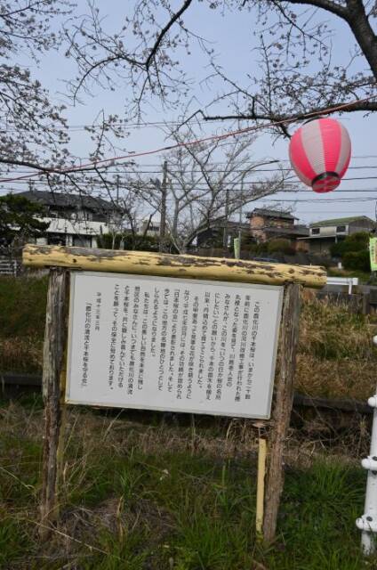 鹿化川の千本桜の看板