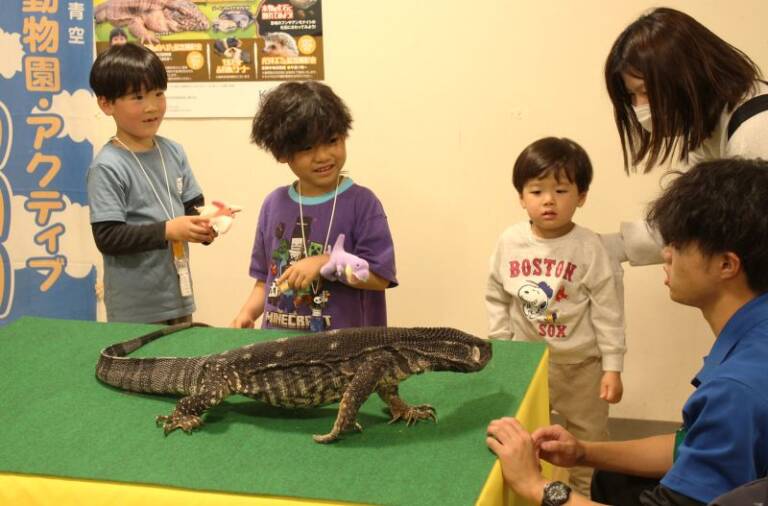 生きたミニチュア恐竜展、近鉄百貨店四日市店で5月6日まで開催