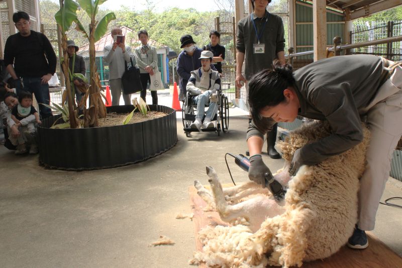 IMG_6380ギャラリー改訂