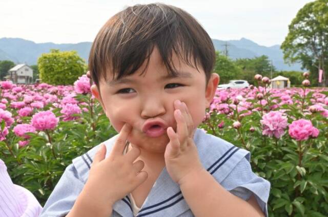 シャクヤク畑で満足な笑顔を見せる子ども