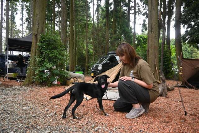ペットの犬に触れる女性