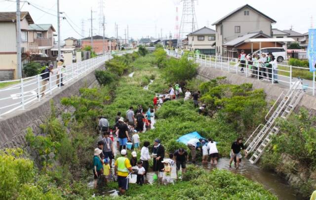 市街地を流れる米洗川での「いきもの探し」