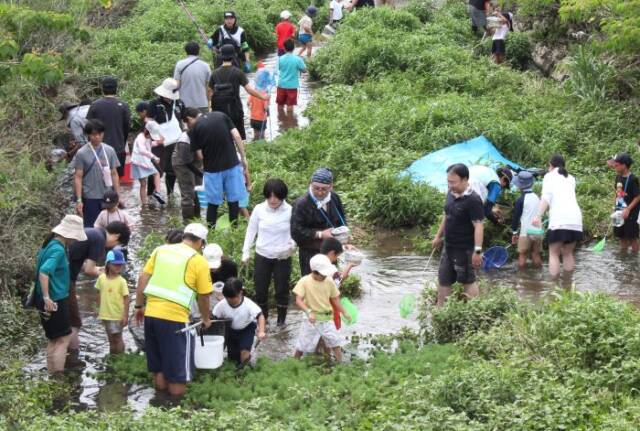 川の生きものを探す大勢の参加者