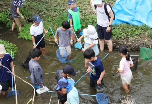 網を手に膝あたりまで水に入って生きものを探す子どもたち