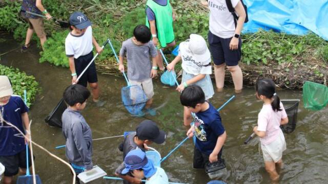 網を手に膝あたりまで水に入って生きものを探す子どもたち