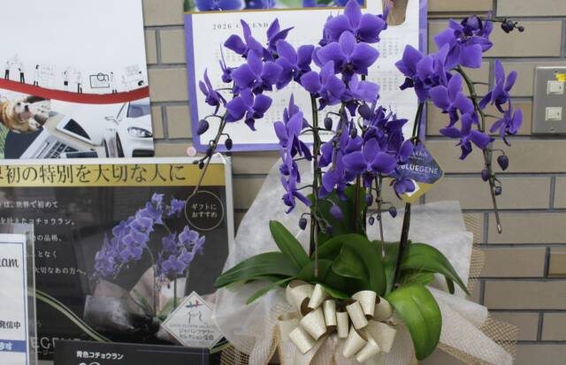 石原産業四日市工場の事務所入り口に飾られた「BLUE GENE」