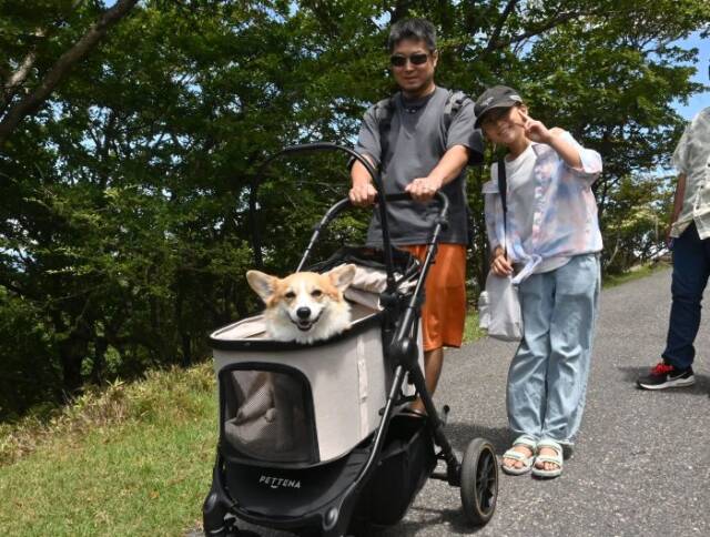 愛犬をバギーに載せて散策する人