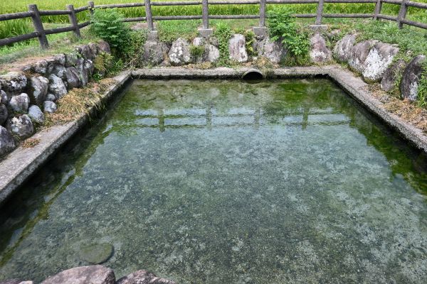 蟹池の水面柵が水面に映っている