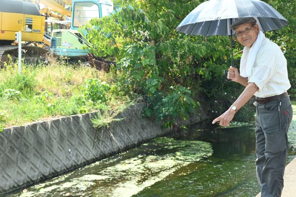 梅花藻の咲いている場所を指さす男性