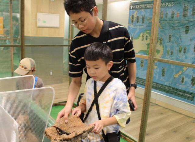 ヘラクレスオオカブトとふれあう子どもたち