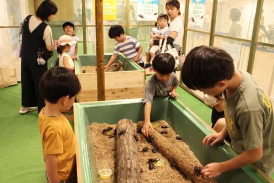 虫かご型ドームの中でカブトムシと遊ぶ子どもたち