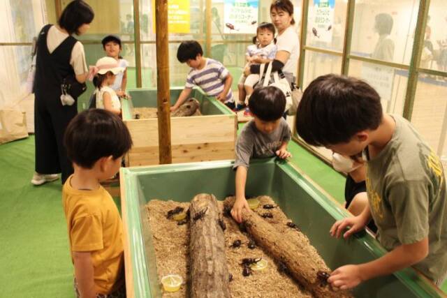 虫かご型ドームの中でカブトムシと遊ぶ子どもたち