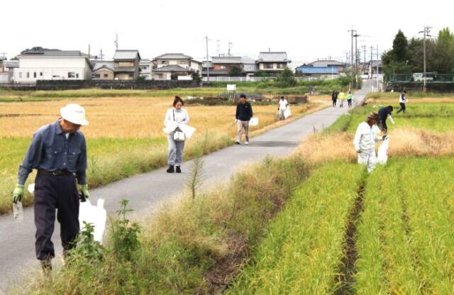田んぼや道路を歩いてゴミを拾う参加者