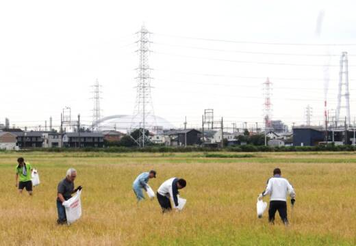 田んぼに落ちた紙片もていねいに探す参加者