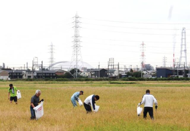 田んぼに落ちた紙片もていねいに探す参加者