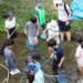 網を手に膝あたりまで水に入って生きものを探す子どもたち